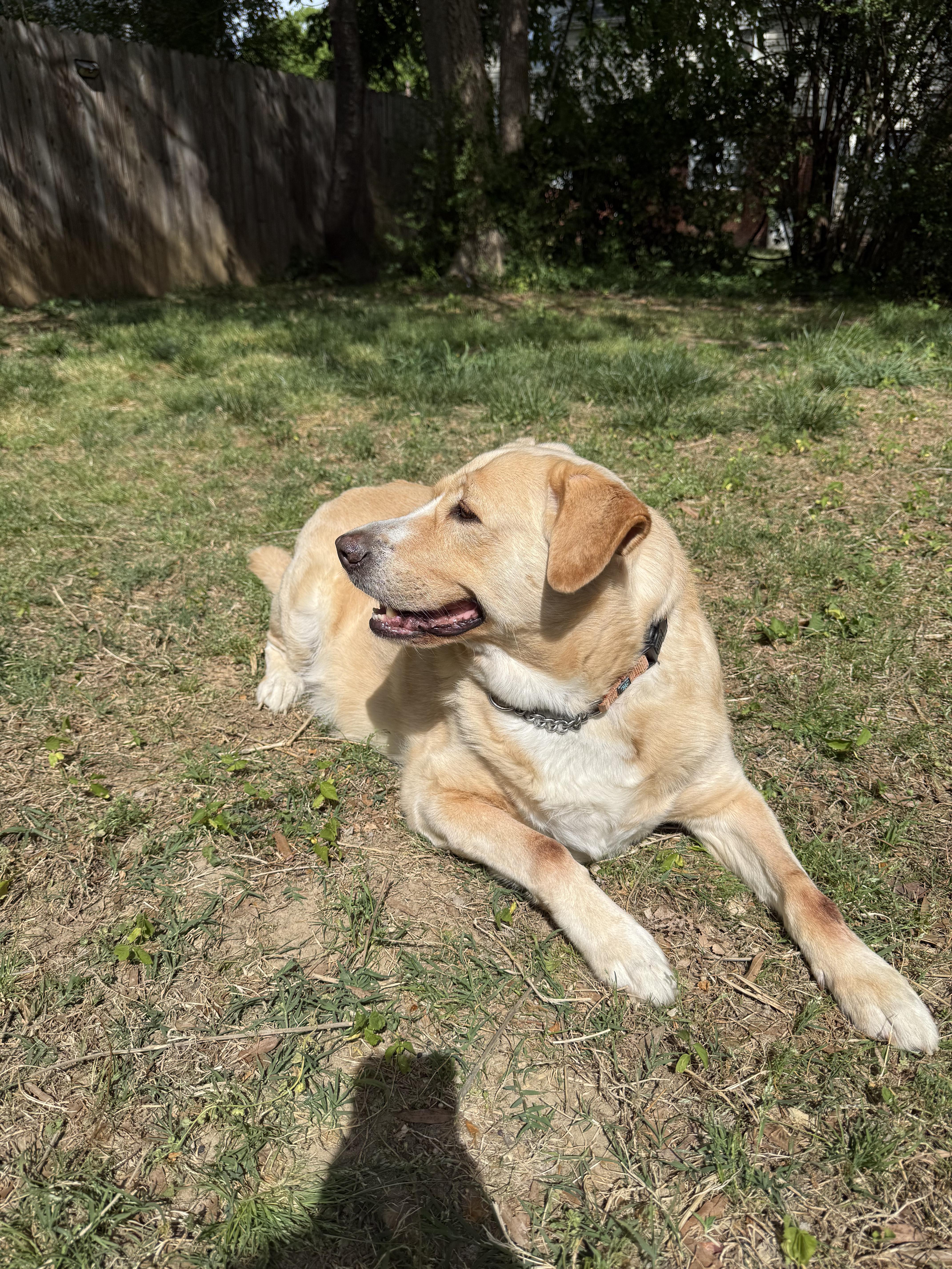 Tasha thumbnail 4