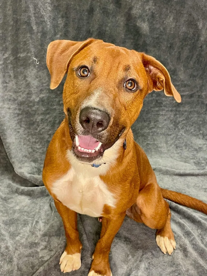 Sawyer Brown thumbnail 6