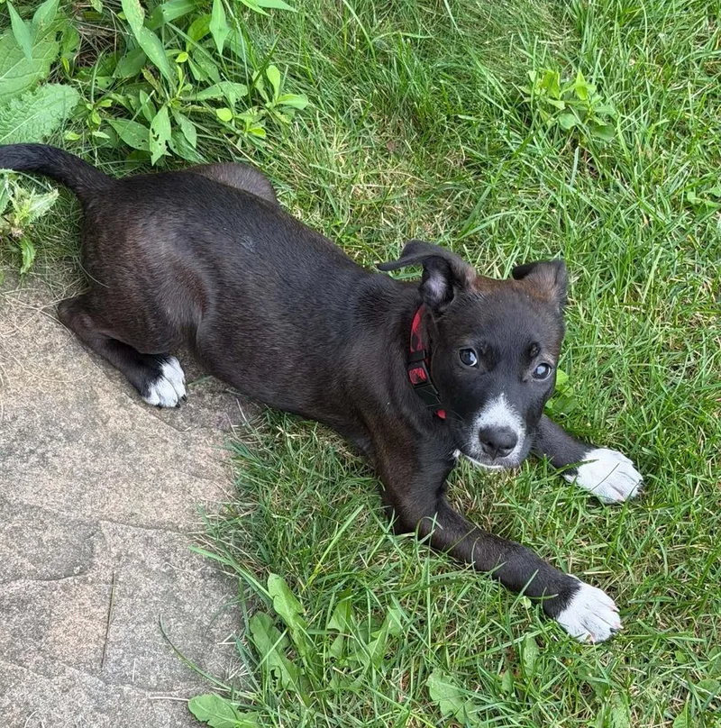 Minnie