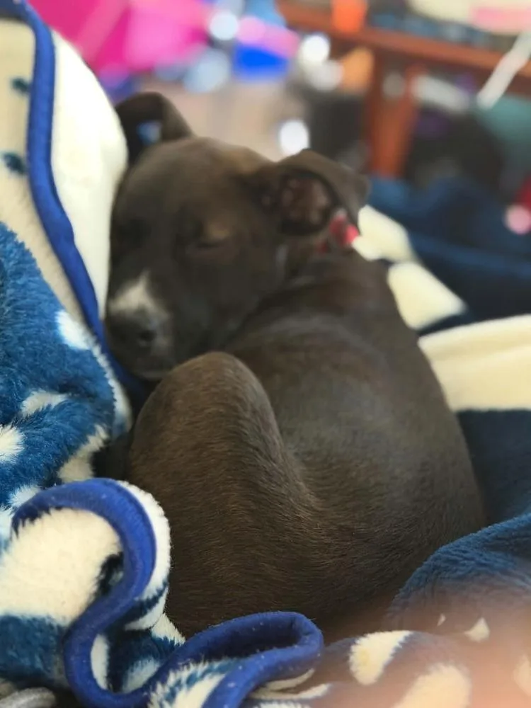 Minnie thumbnail 2