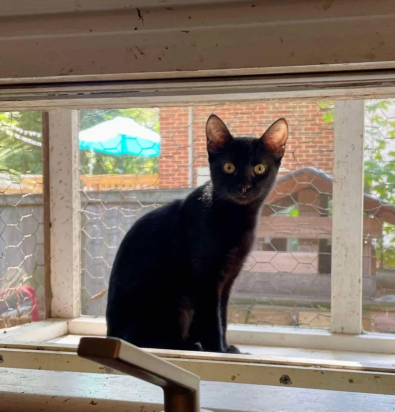 Confetti thumbnail 2