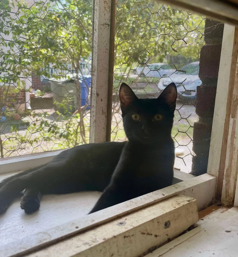 Confetti thumbnail 3