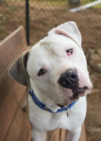 Freebird thumbnail 3