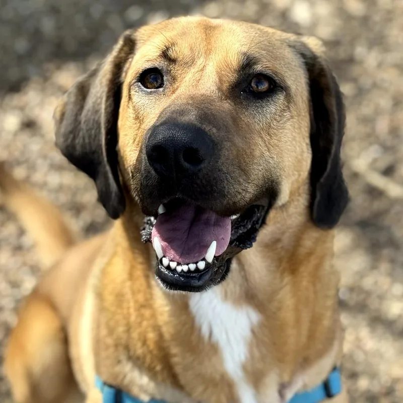 Norma Jean thumbnail 4