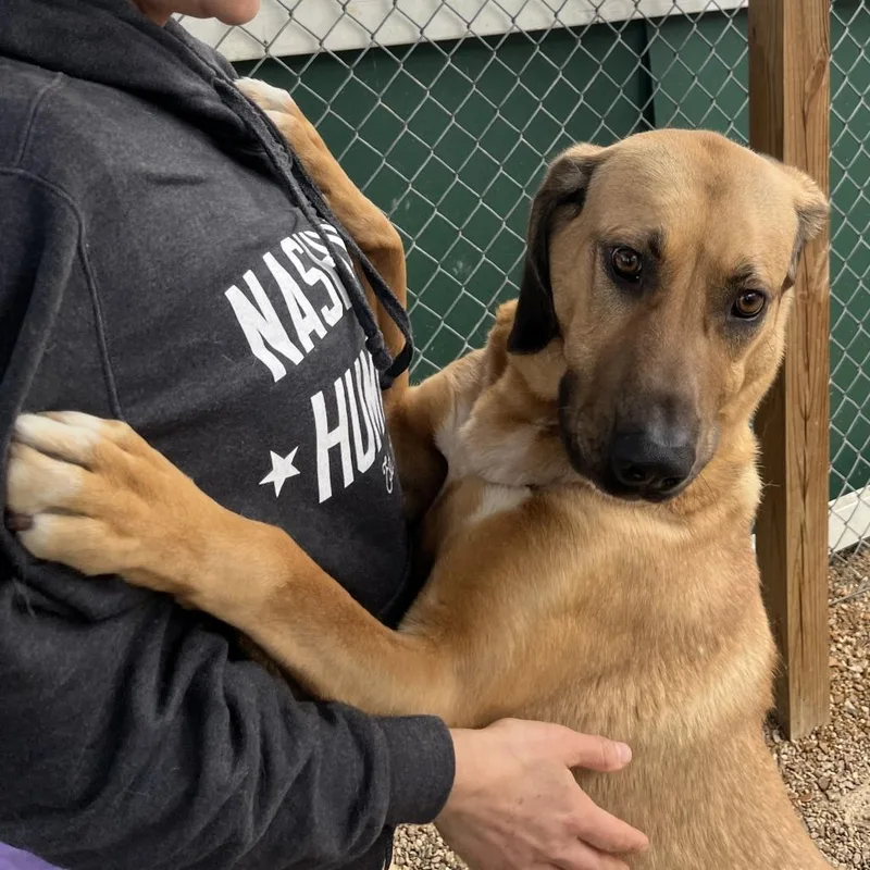 Norma Jean thumbnail 5