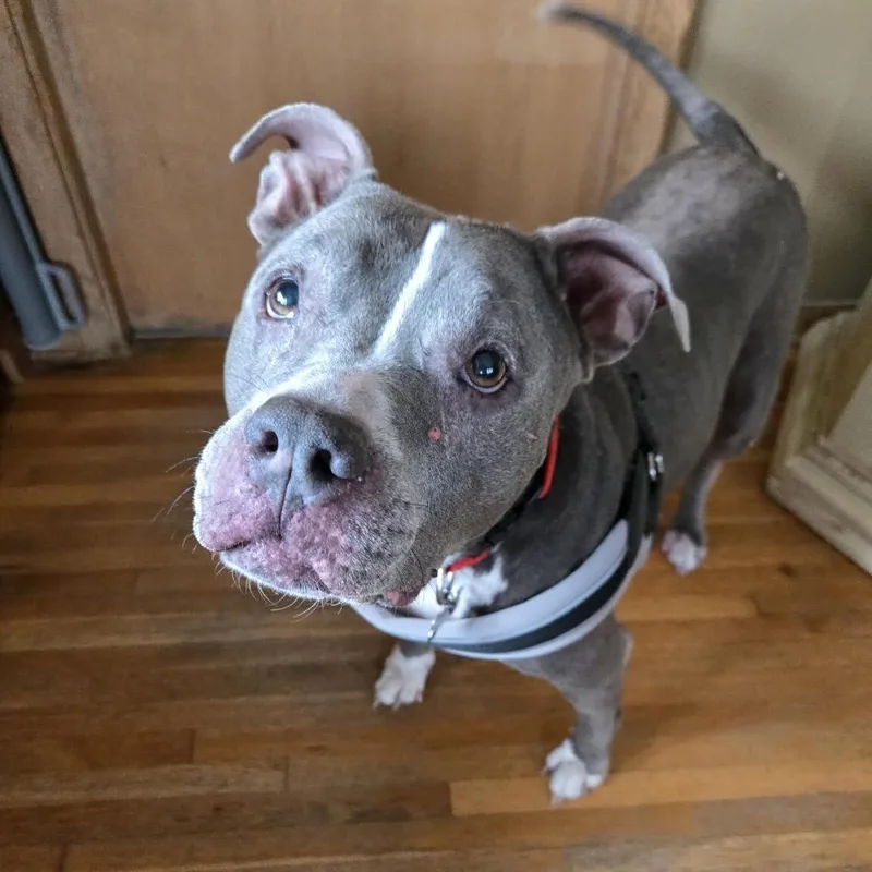 Grayce D thumbnail 2