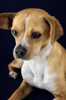 Fletcher thumbnail 2