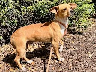 Fletcher thumbnail 4