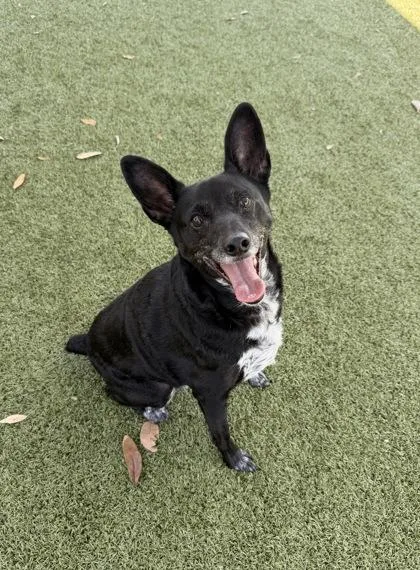 Baby Boy thumbnail 2