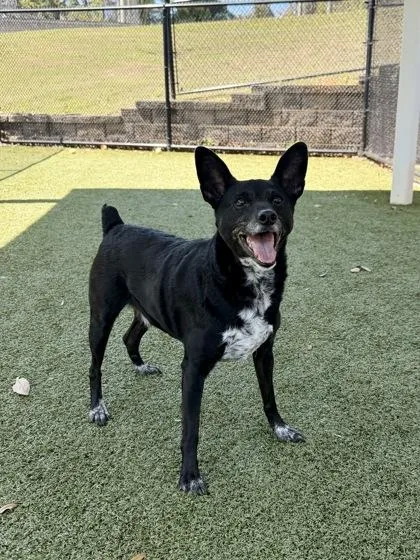 Baby Boy thumbnail 3