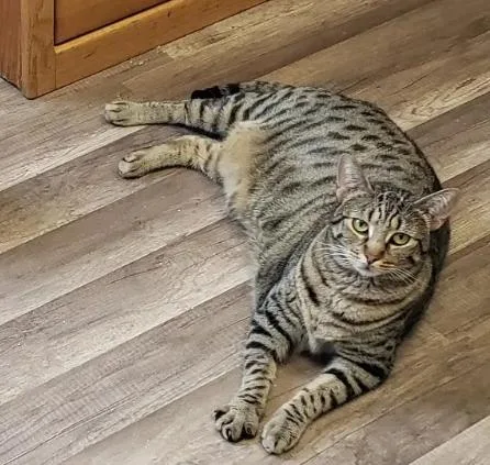 Bonded Enola And Elenore thumbnail 2