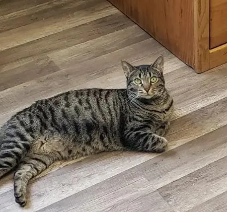 Bonded Enola And Elenore thumbnail 3