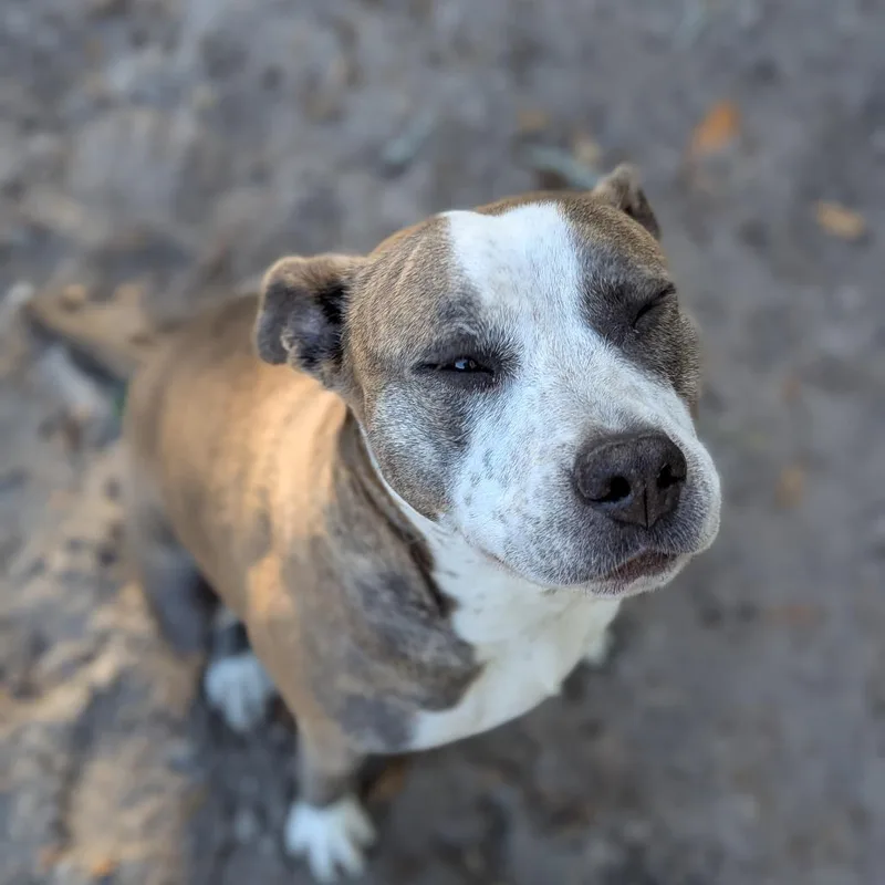 Willow Jade thumbnail 2