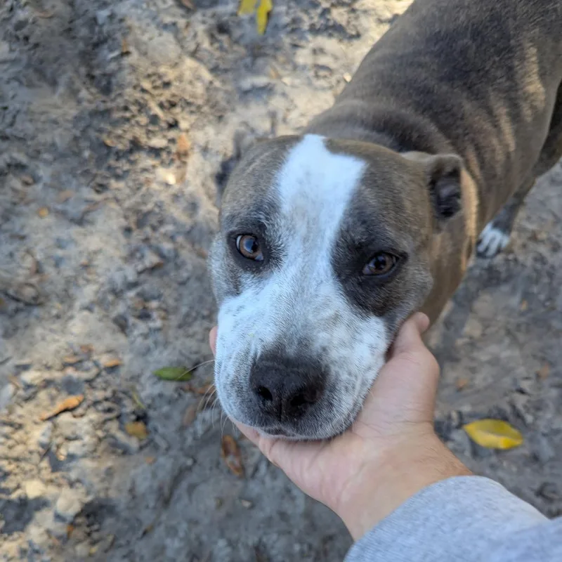 Willow Jade thumbnail 6