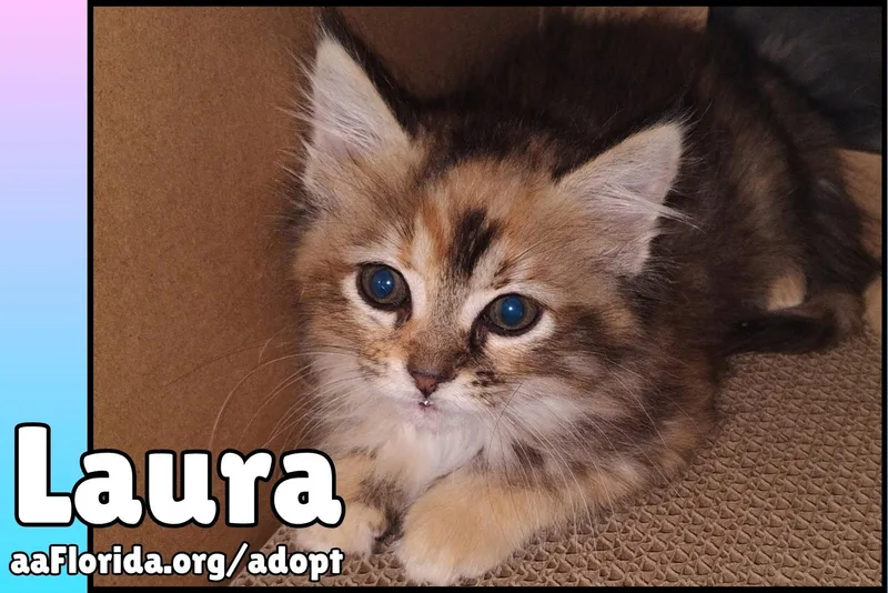 Laura thumbnail 2