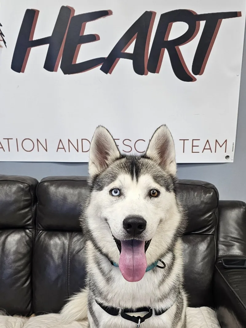 Sebastian  On Hold thumbnail 2