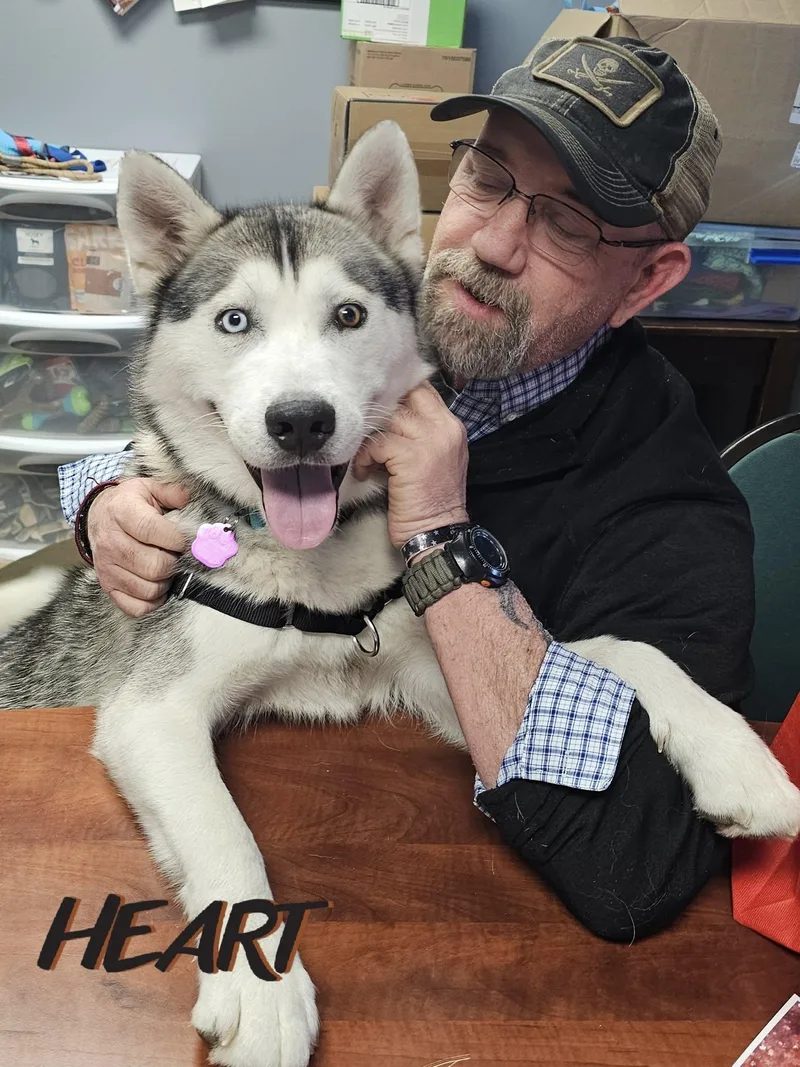 Sebastian  On Hold thumbnail 3