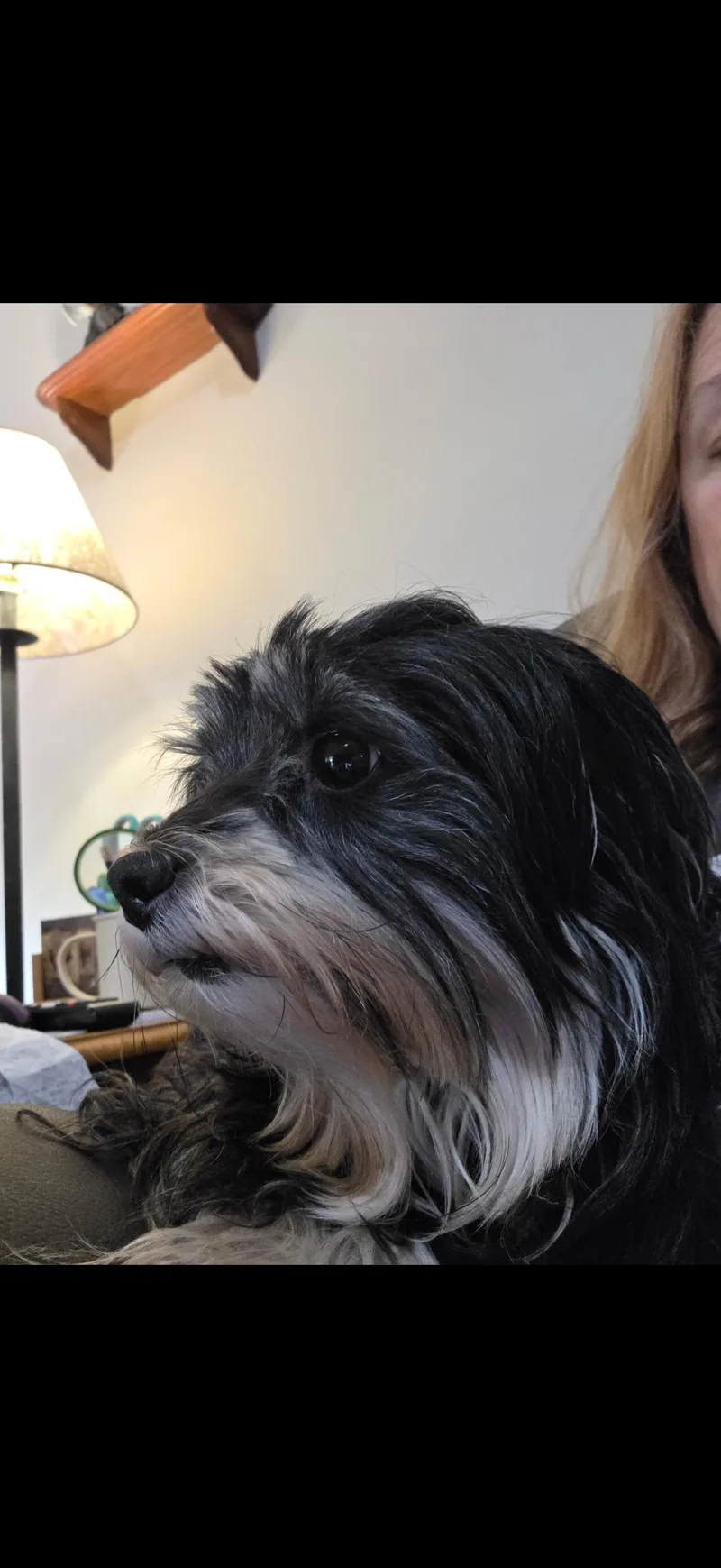 Annie thumbnail 3