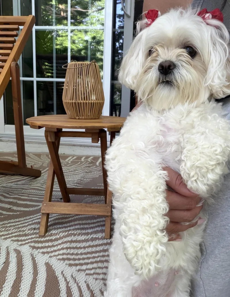 Coco thumbnail 3
