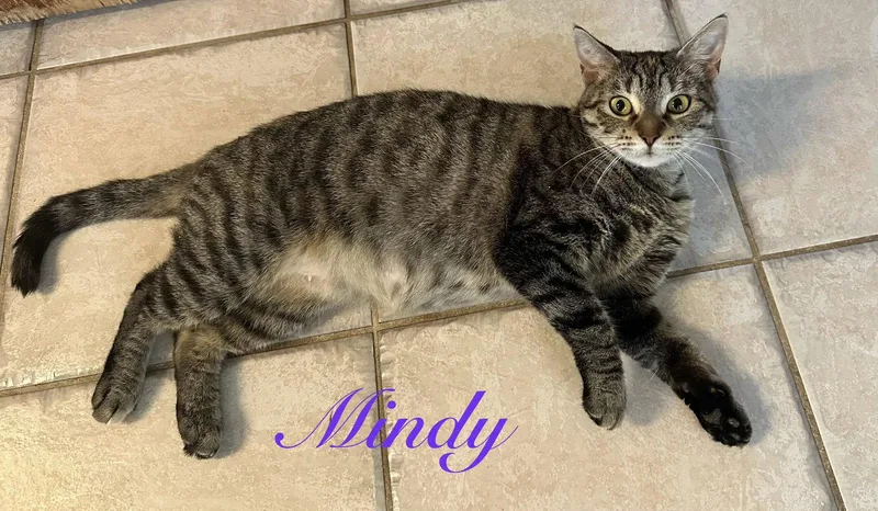 Mindy thumbnail 3