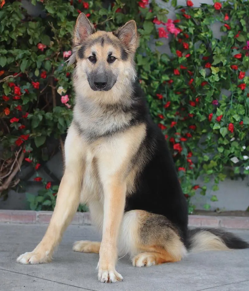 Klaus Von Kranzberg thumbnail 2