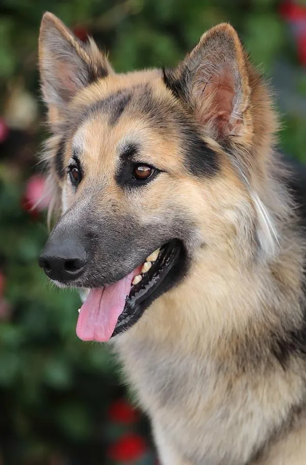 Klaus Von Kranzberg thumbnail 3