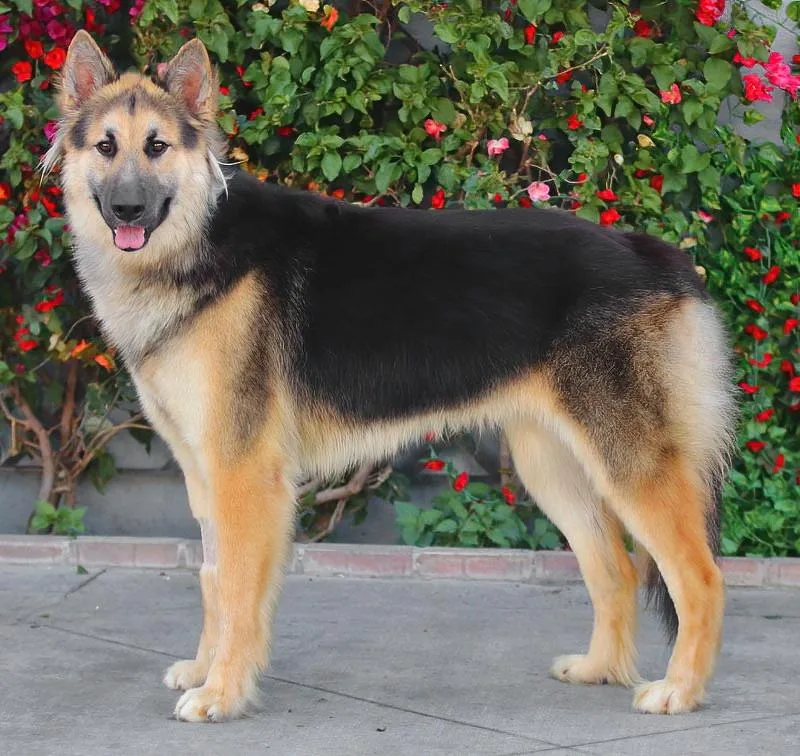 Klaus Von Kranzberg thumbnail 4