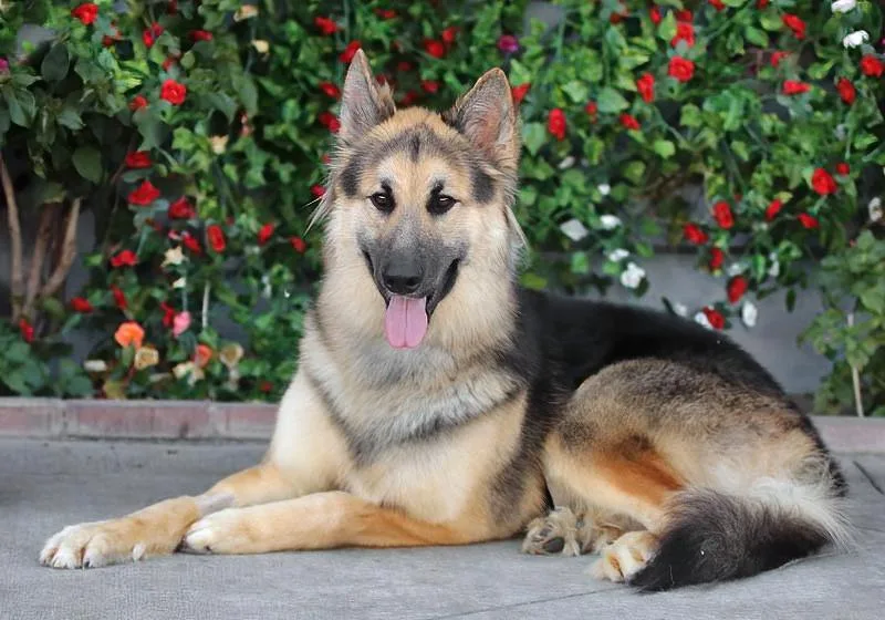 Klaus Von Kranzberg thumbnail 5