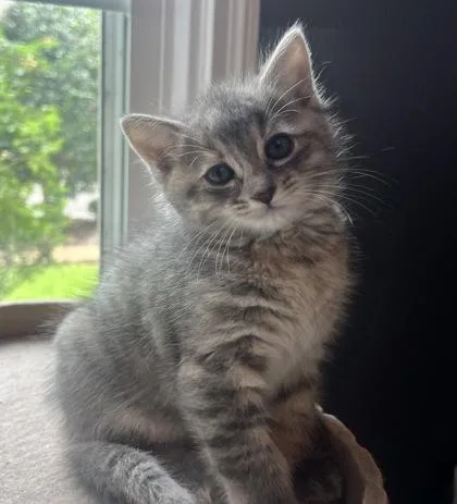 Samantha
