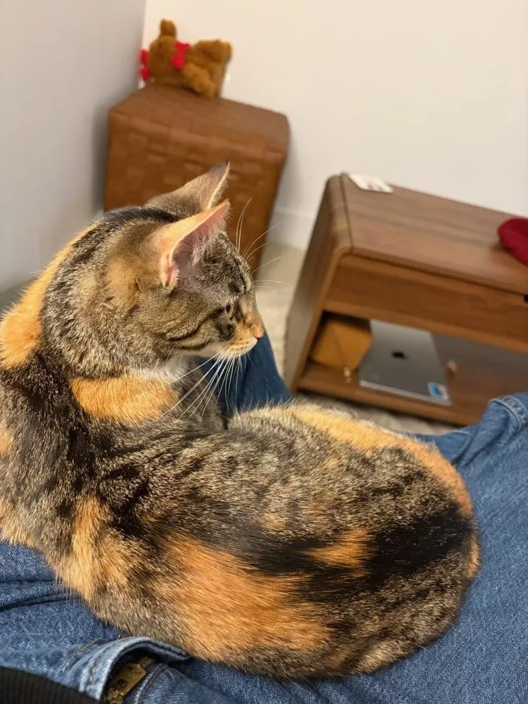 Delilah thumbnail 2