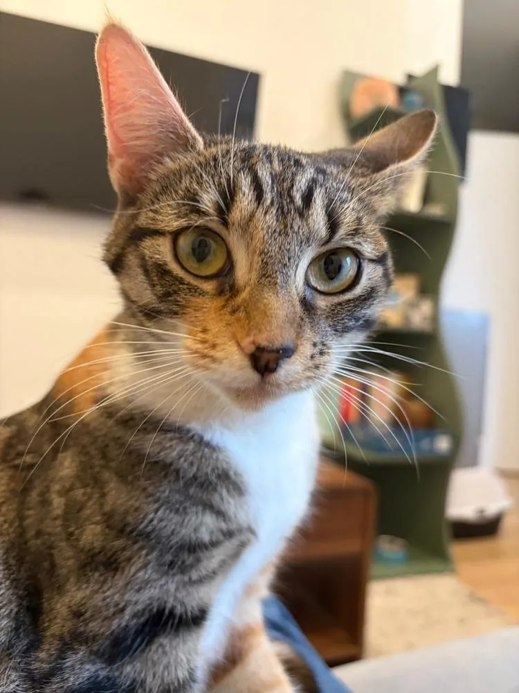 Delilah thumbnail 4
