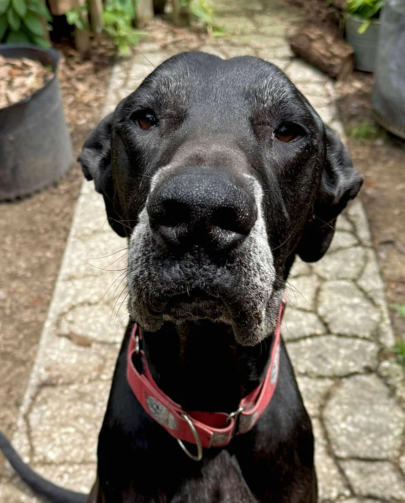 Maurice Aka Mo thumbnail 5