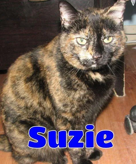 Suzie