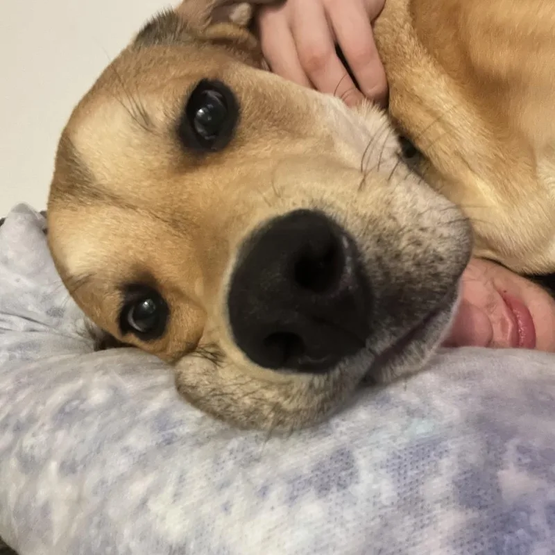 Budderball thumbnail 3