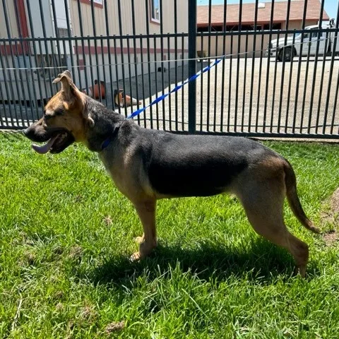 Josephine thumbnail 2