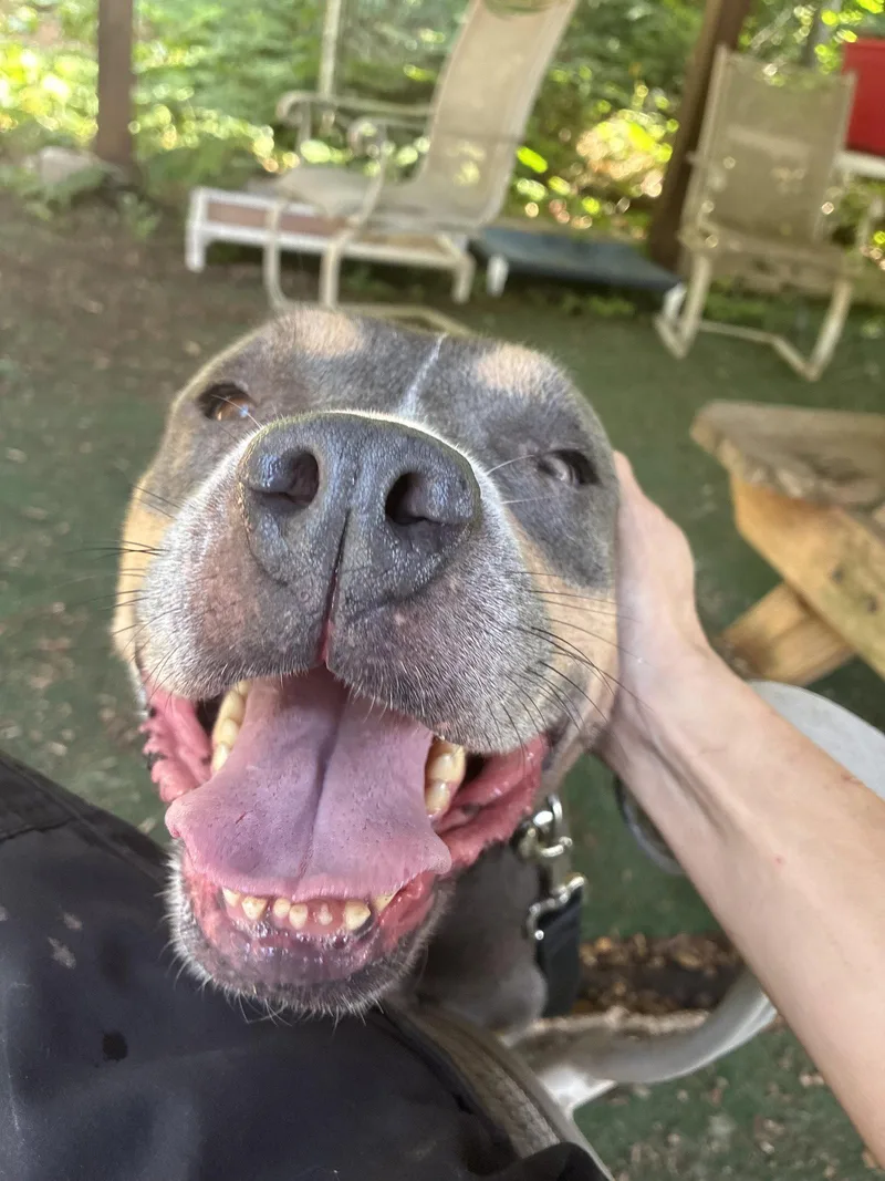 Mandy thumbnail 3
