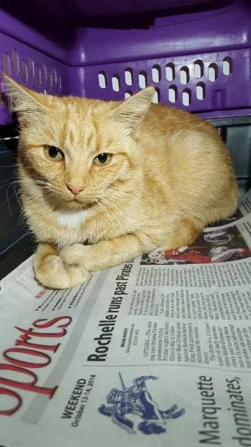 Queen Elizabeth thumbnail 2