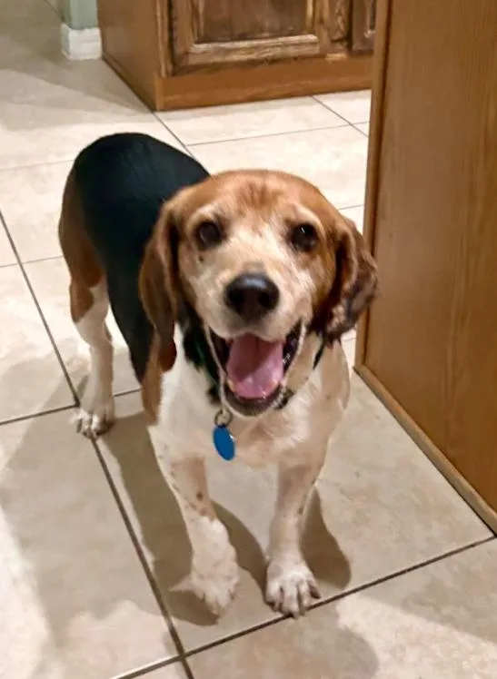 Ben