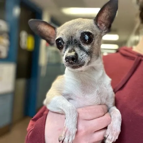 Ellie Sue thumbnail 3