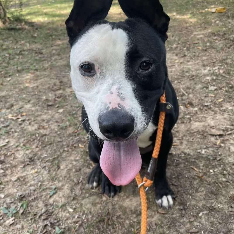 Poseidon thumbnail 4