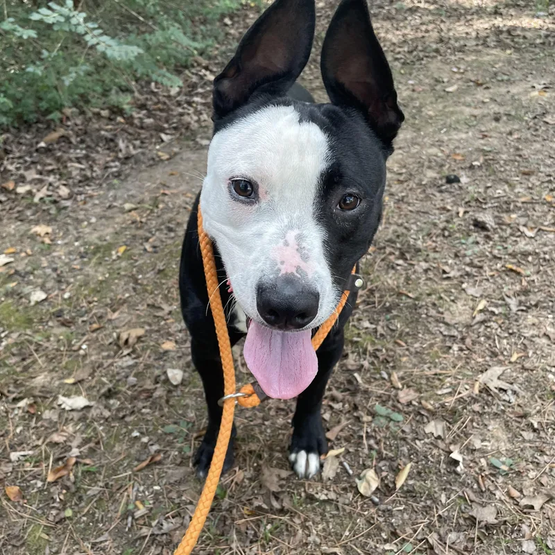 Poseidon thumbnail 5