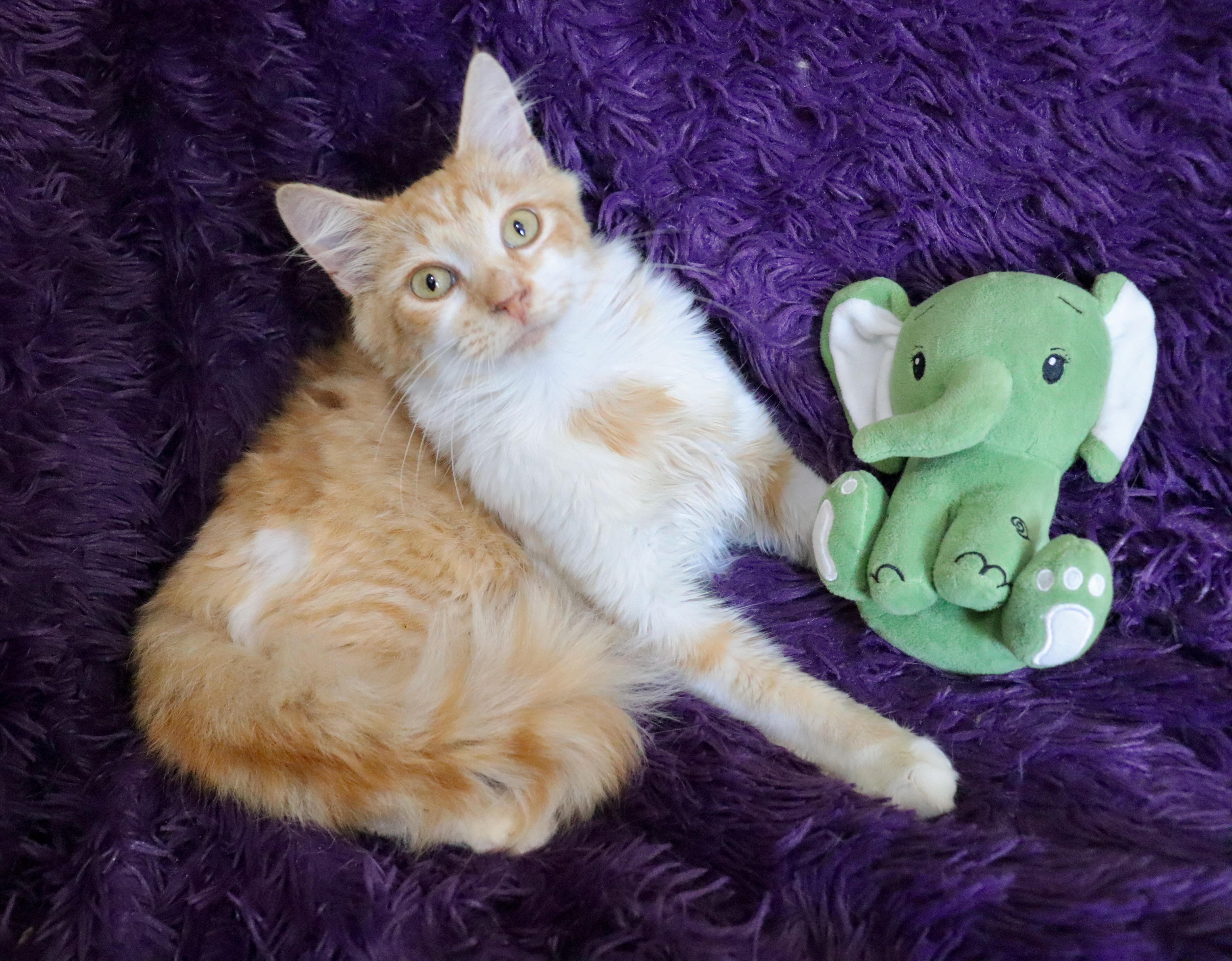 Atlantis thumbnail 2