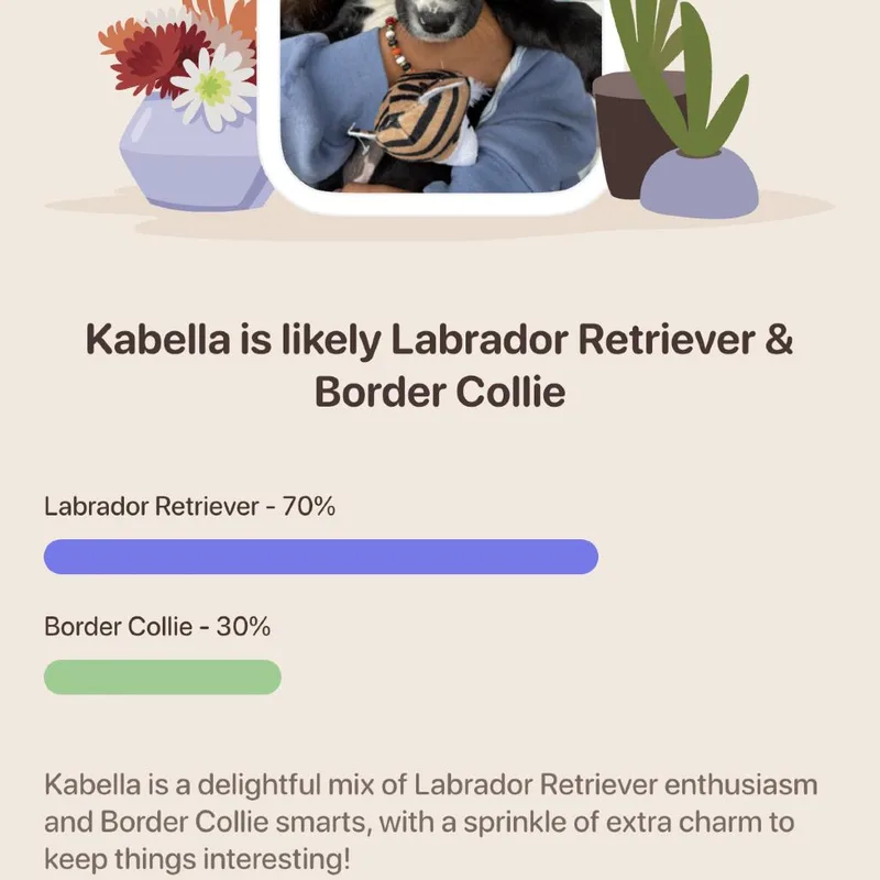 Kabella thumbnail 4