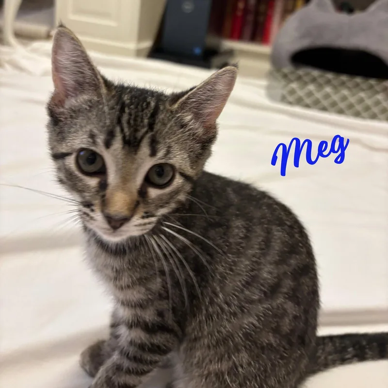 Meg LittleWomenlitter thumbnail 2