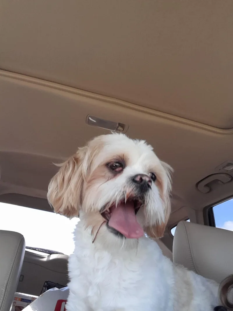 Mo  Richmond thumbnail 2