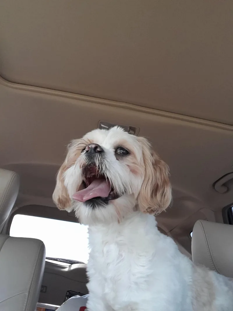 Mo  Richmond thumbnail 3