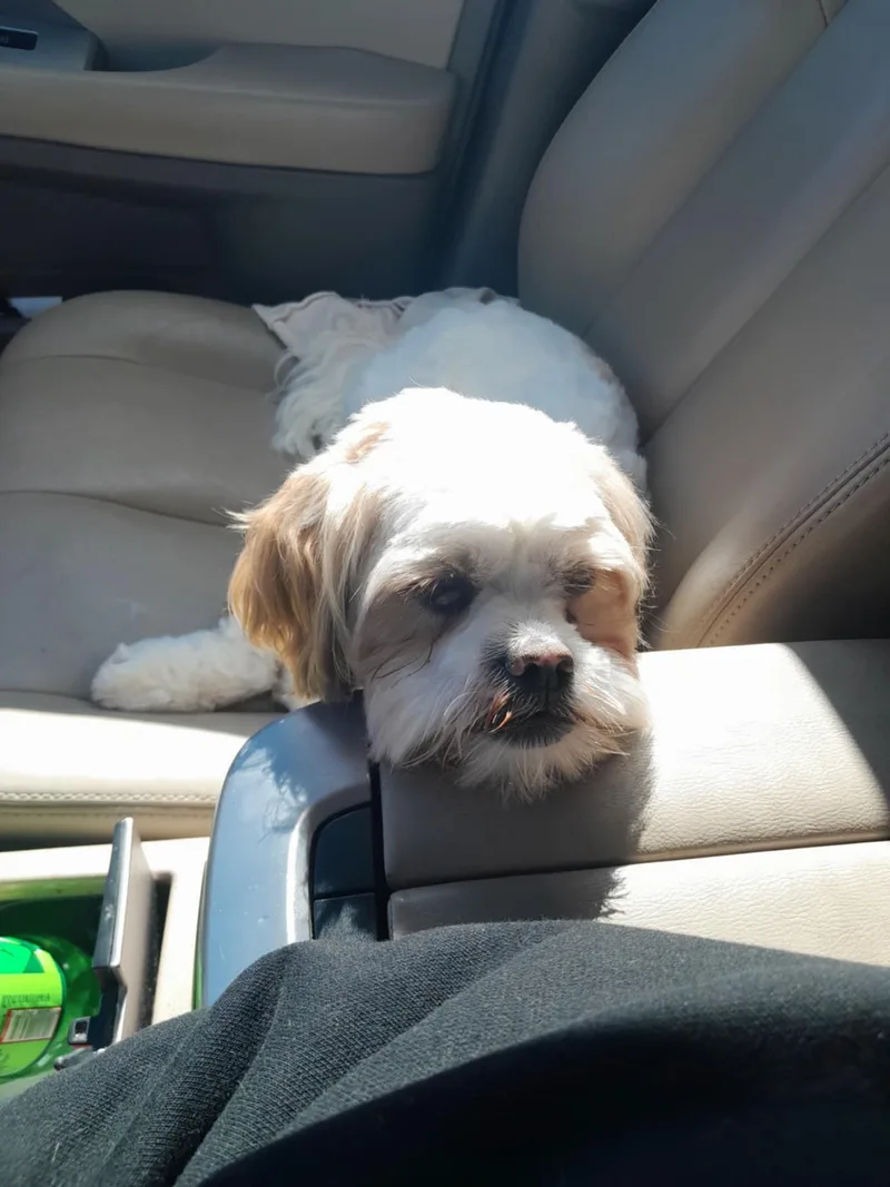 Mo  Richmond thumbnail 4