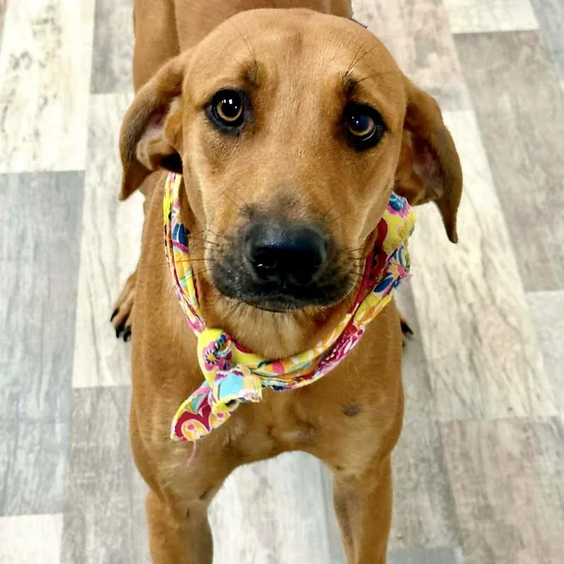 Ellie Mae thumbnail 2