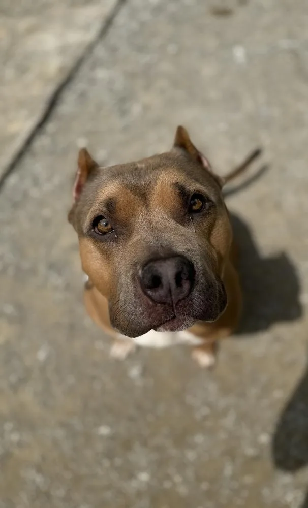 Beckham Cooper thumbnail 2