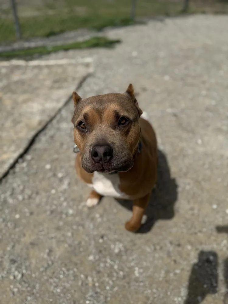 Beckham Cooper thumbnail 3